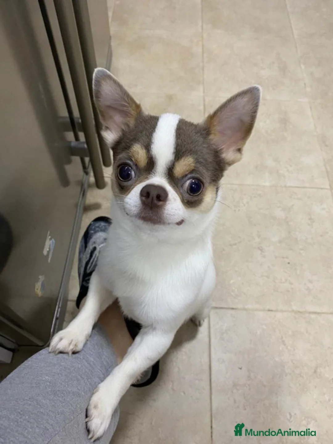 Imagen de galería {{count}}