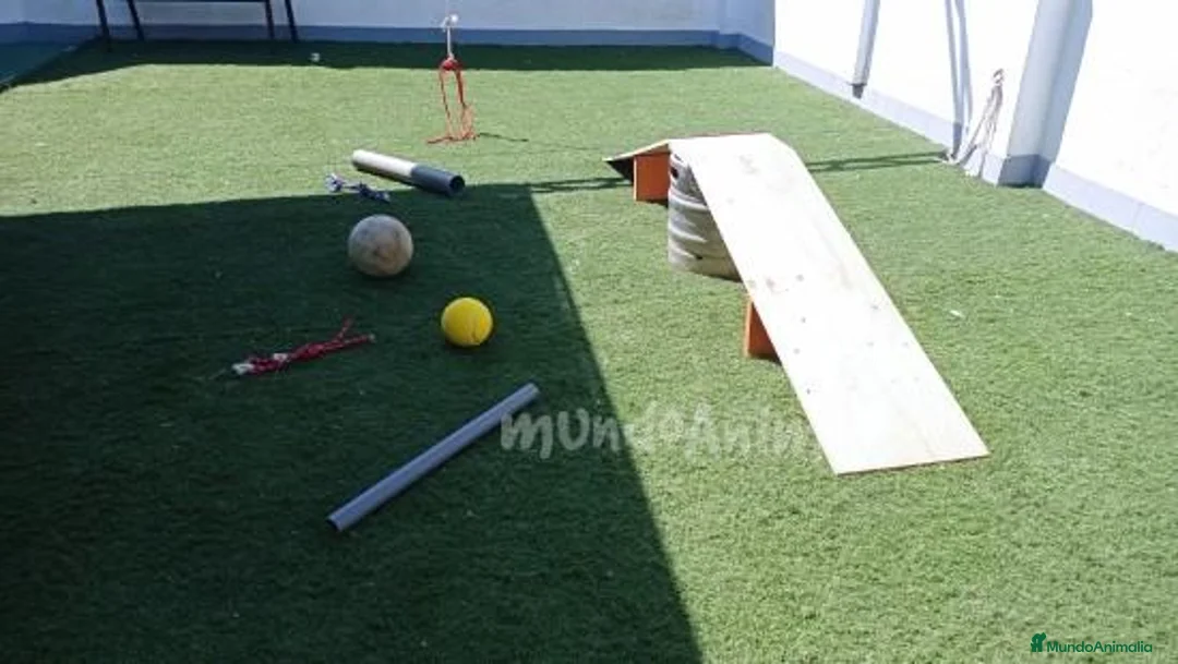 Imagen de galería {{count}}