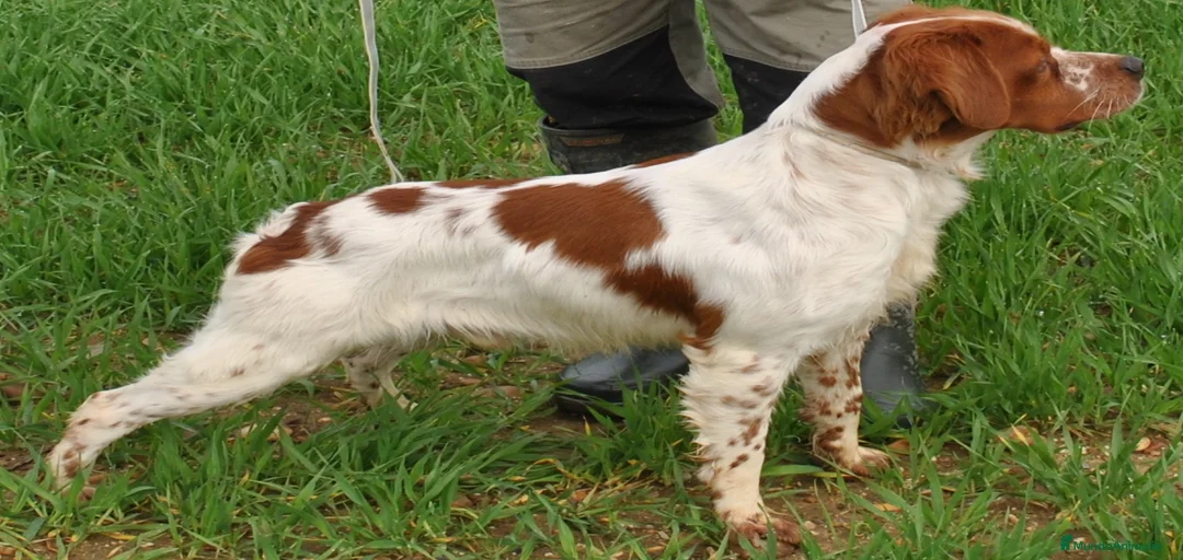 Imagen de galería {{count}}