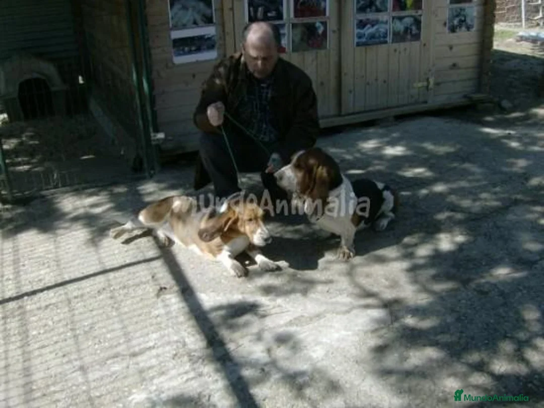 Imagen de galería {{count}}