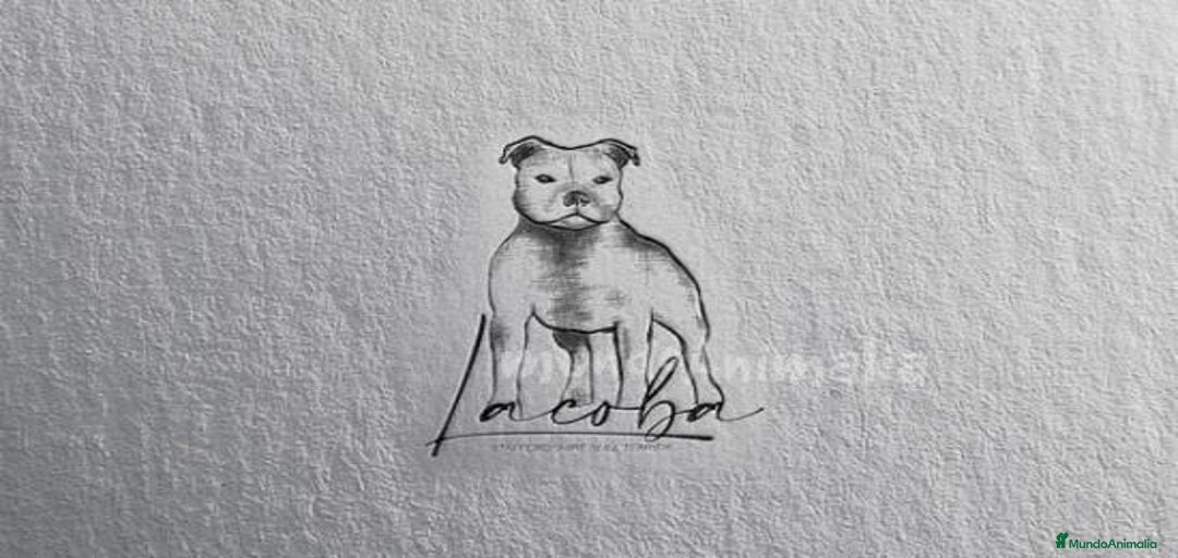 Imagen de galería {{count}}