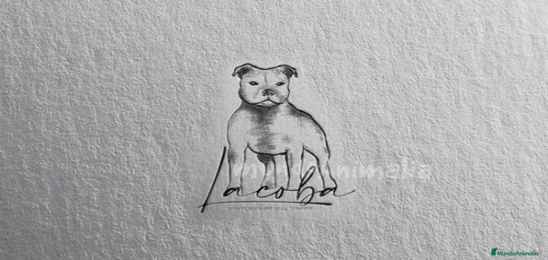 Imagen de galería {{count}}