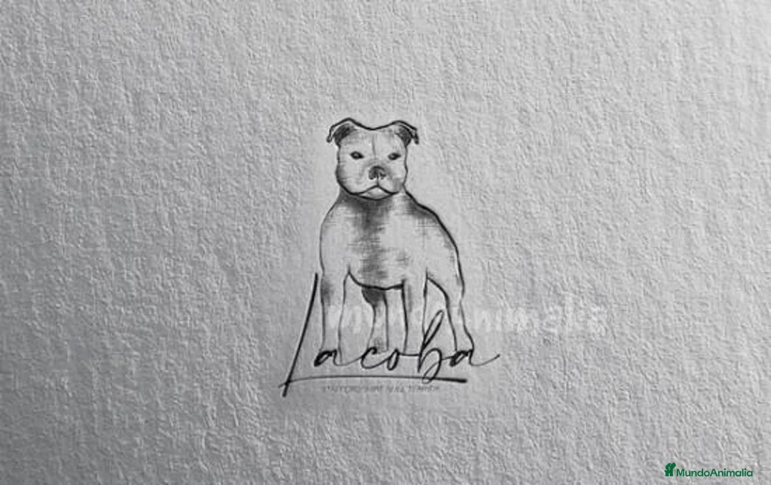 Imagen de galería {{count}}