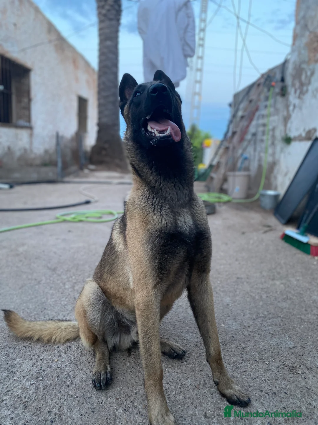 Imagen de galería {{count}}