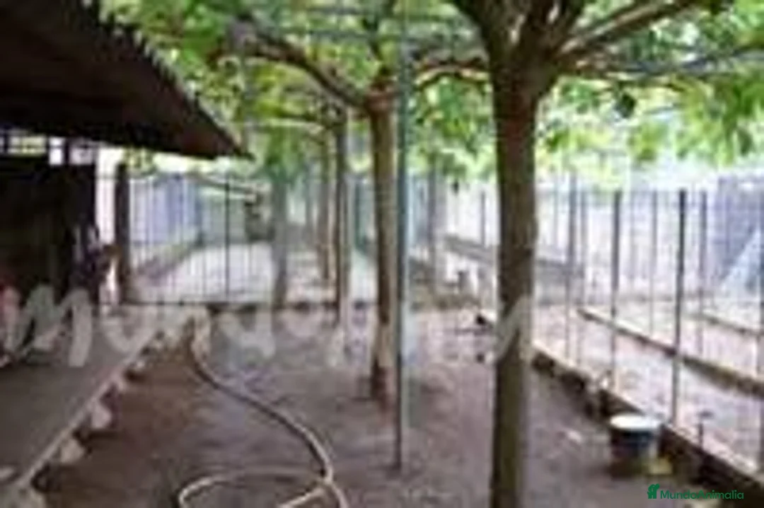 Imagen de galería {{count}}