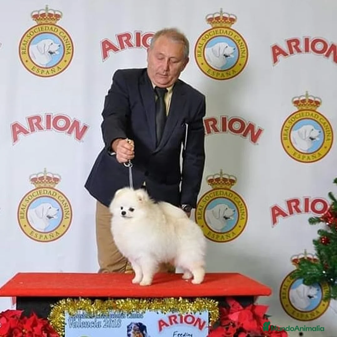 Imagen de galería {{count}}