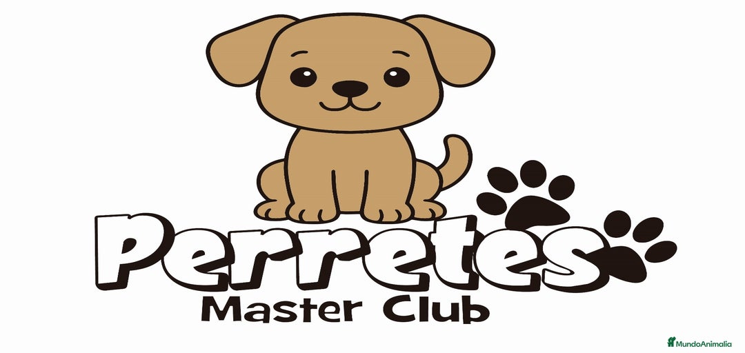 Imagen de galería {{count}}