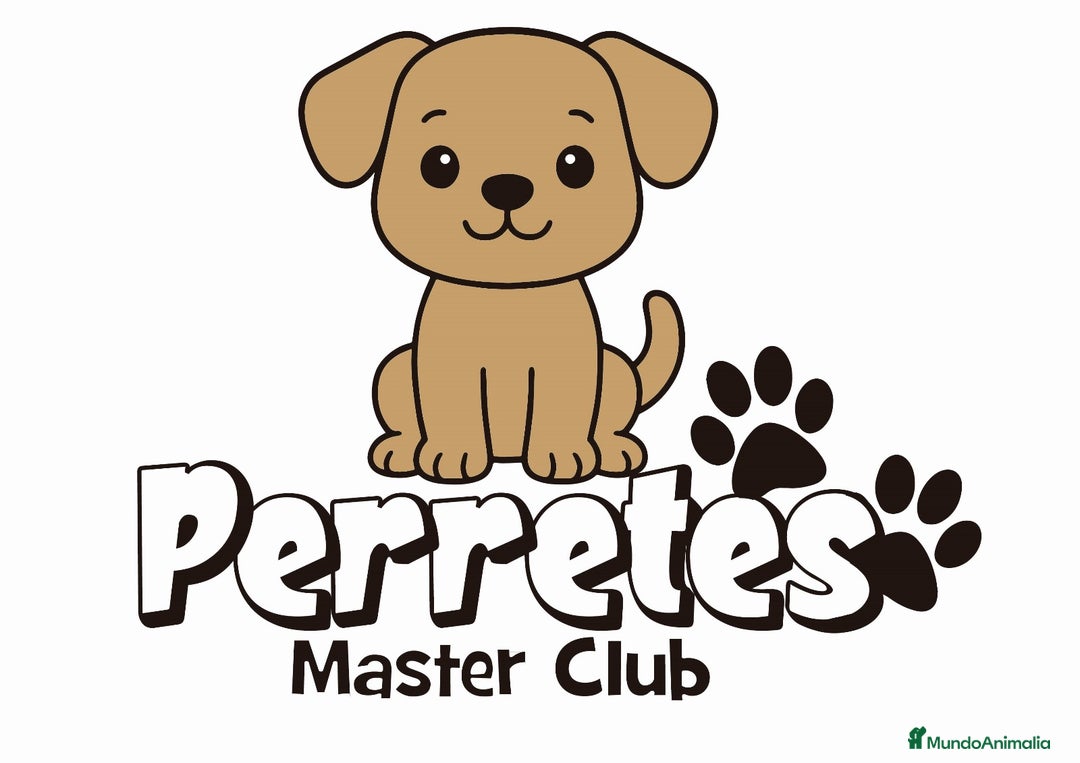 Imagen de galería {{count}}