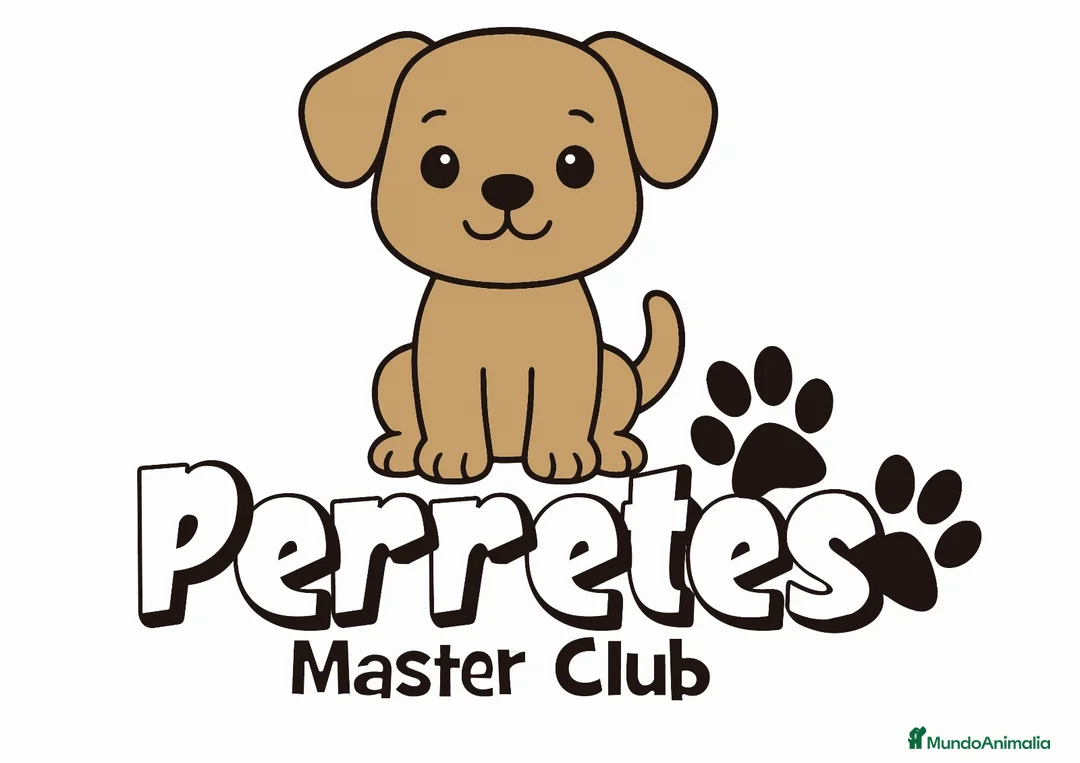 Imagen de galería {{count}}