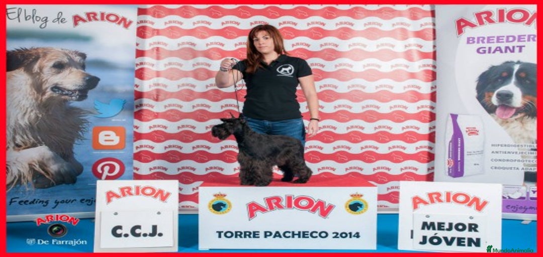 Imagen de galería {{count}}