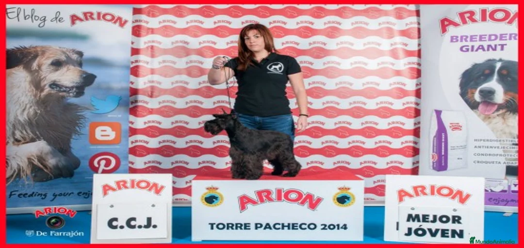 Imagen de galería {{count}}