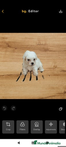 Imagen de galería {{count}}