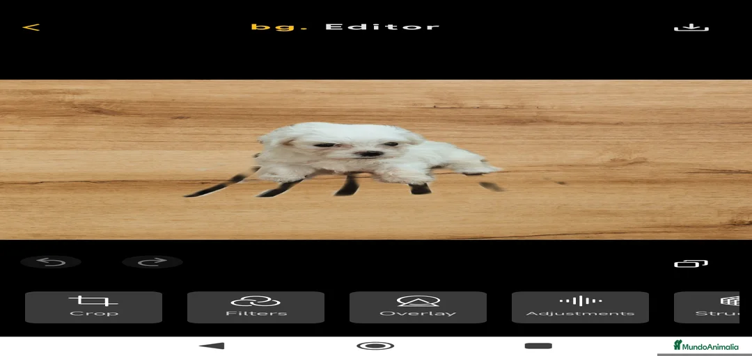 Imagen de galería {{count}}