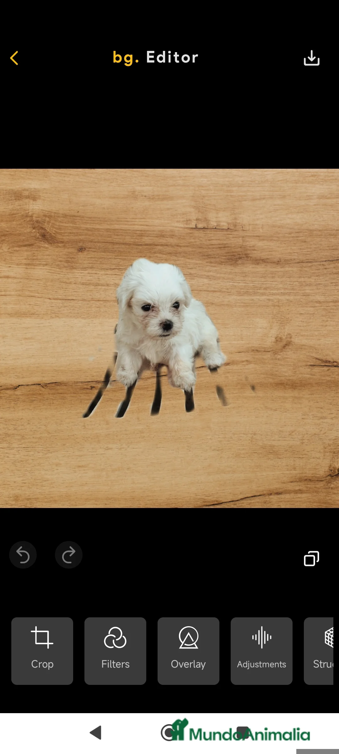 Imagen de galería {{count}}