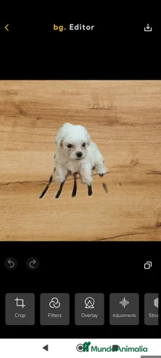 Imagen de galería {{count}}