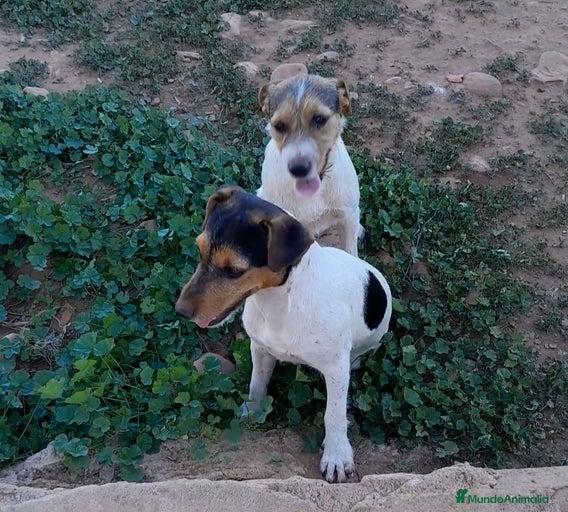 Imagen de galería {{count}}