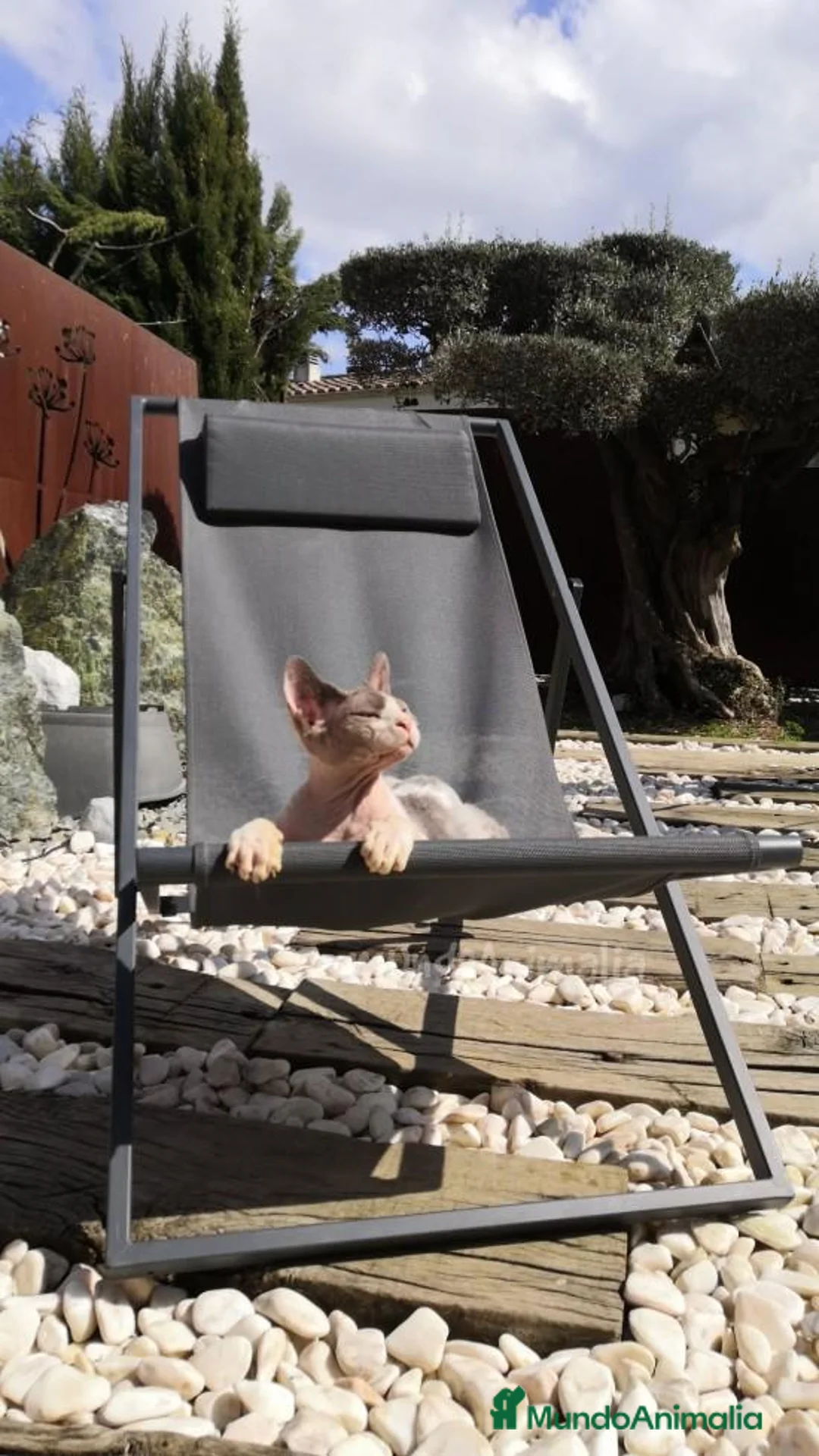 Imagen de galería {{count}}