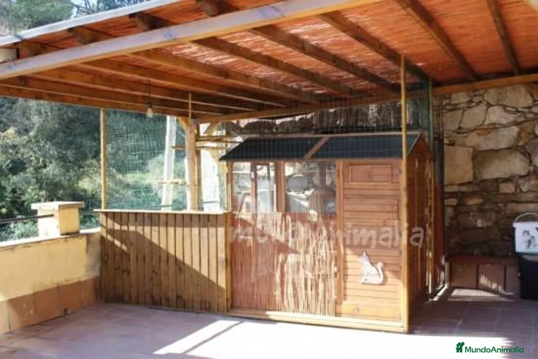 Imagen de galería {{count}}