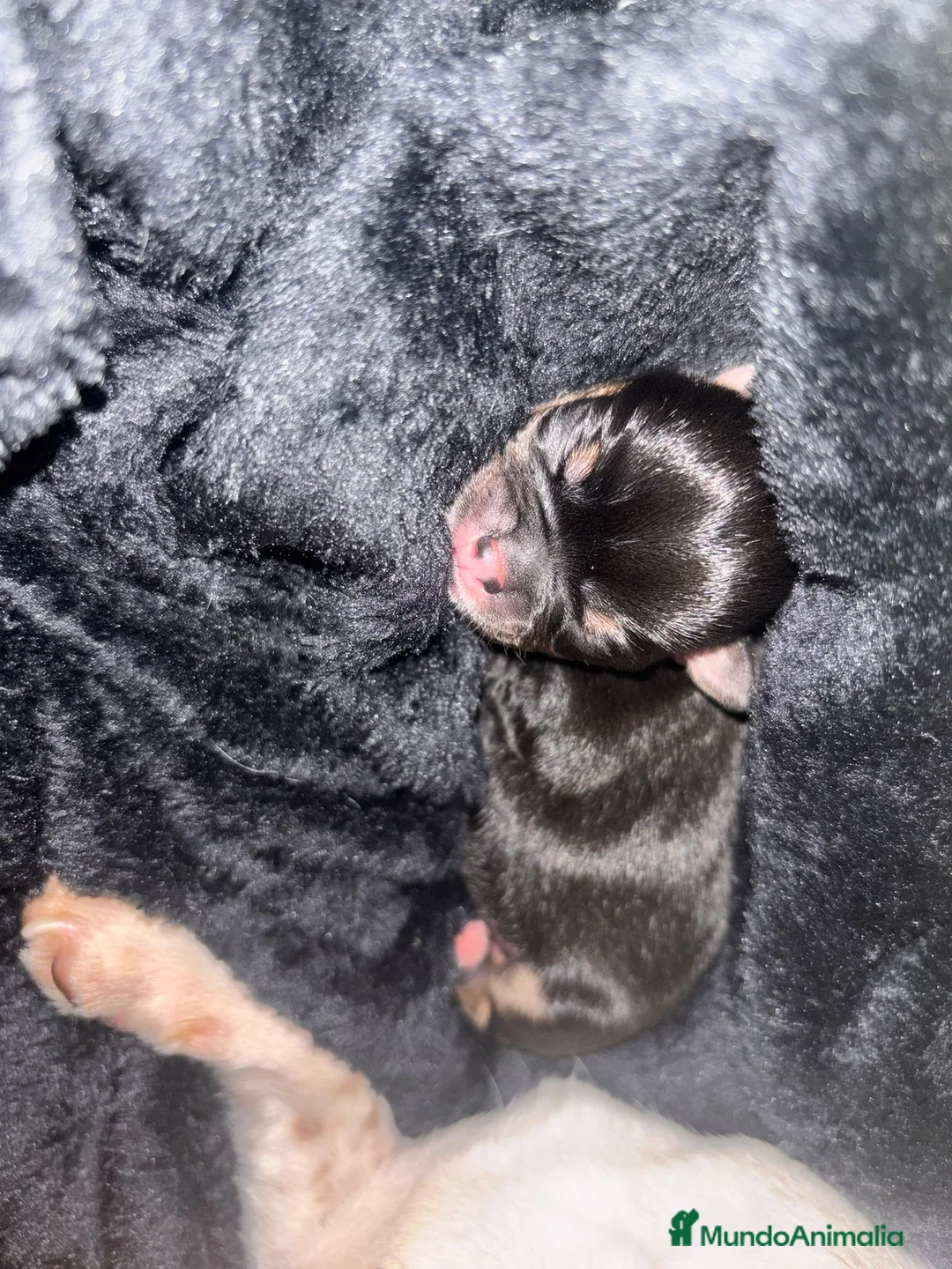 Imagen de galería {{count}}