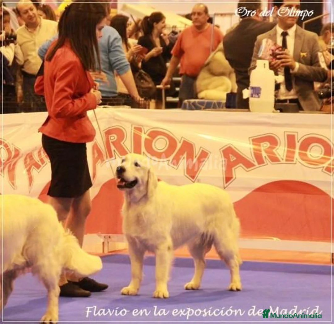 Imagen de galería {{count}}