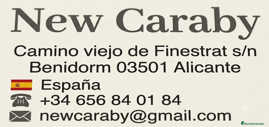 Imagen de galería {{count}}
