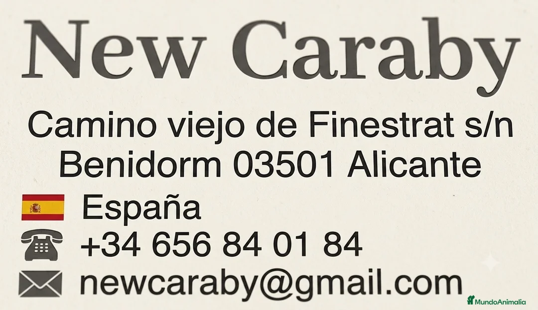 Imagen de galería {{count}}