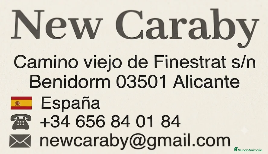 Imagen de galería {{count}}