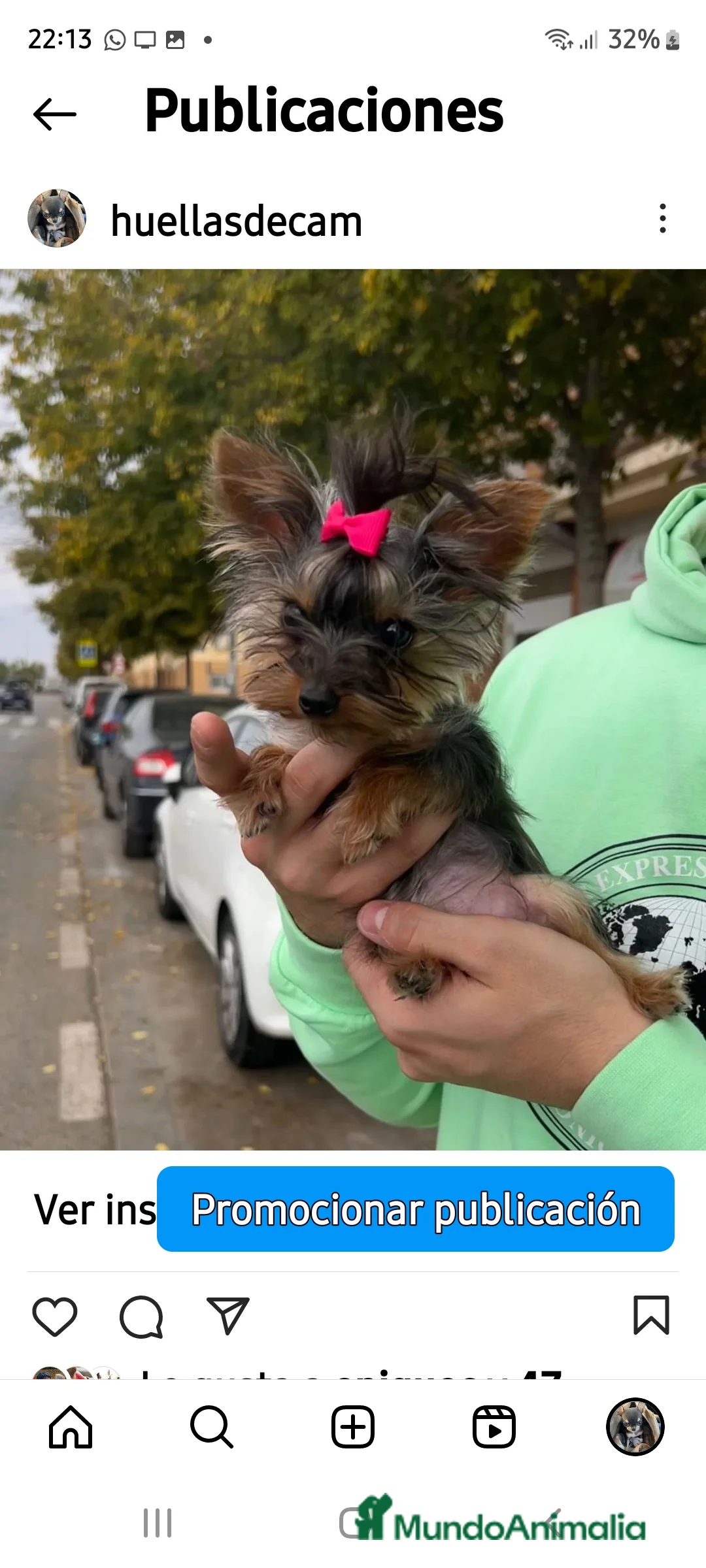 Imagen de galería {{count}}