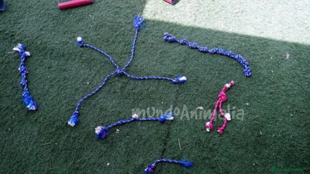 Imagen de galería {{count}}