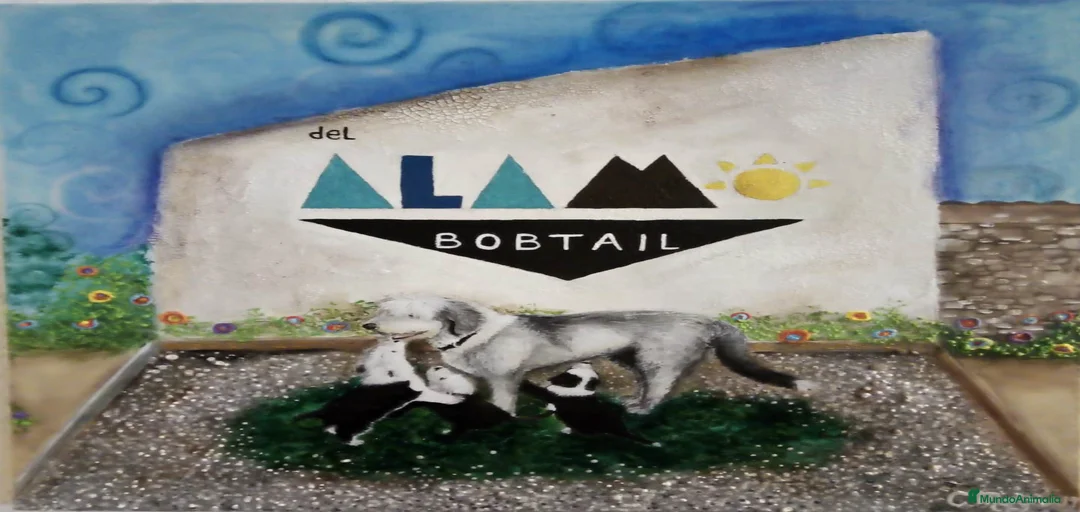 Imagen de galería {{count}}