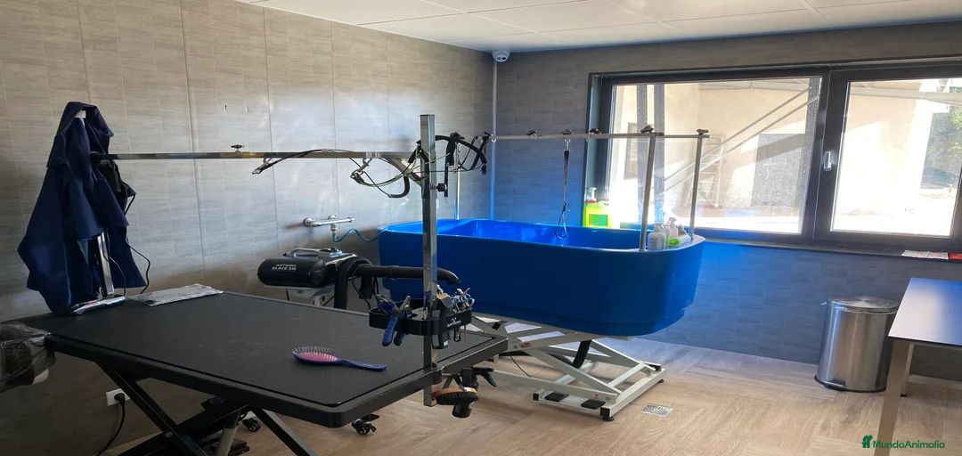 Imagen de galería {{count}}