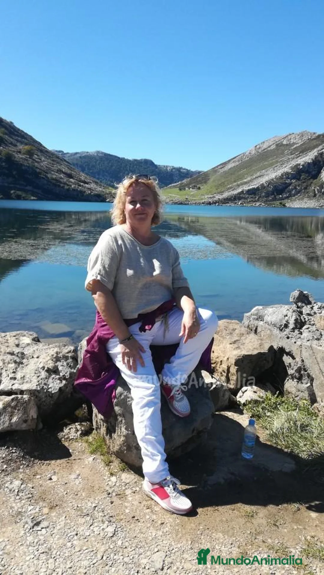 Imagen de galería {{count}}