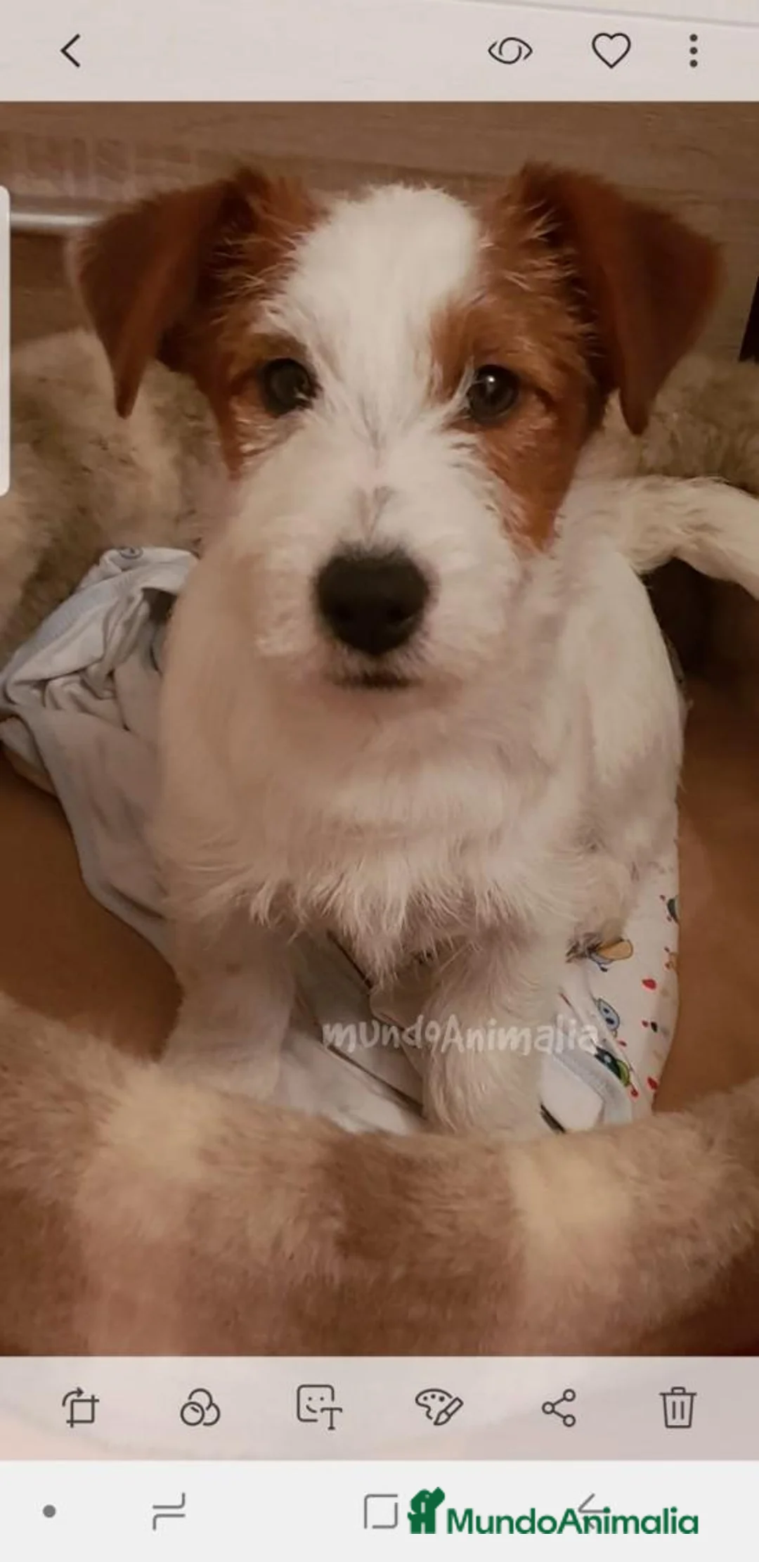 Imagen de galería {{count}}