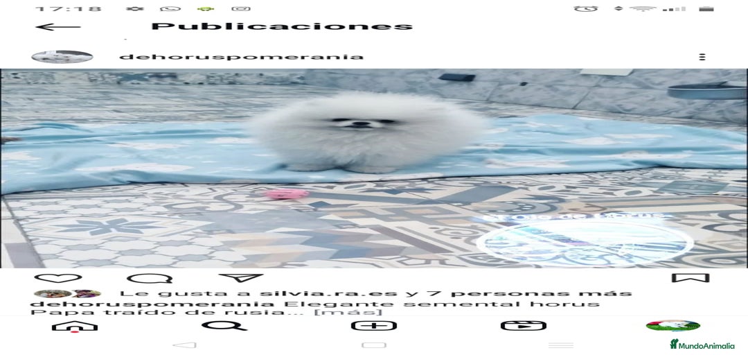 Imagen de galería {{count}}