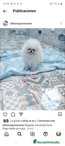 Imagen de galería {{count}}