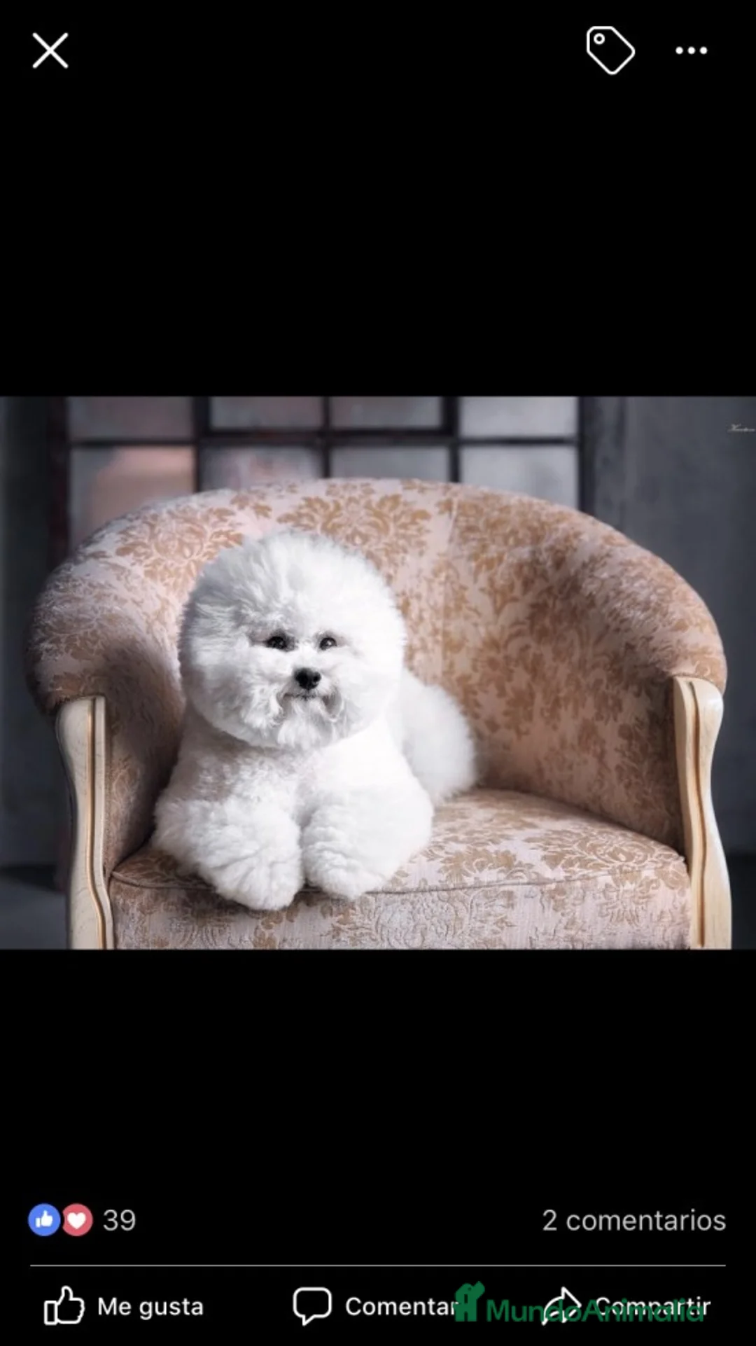 Imagen de galería {{count}}