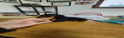 Pinscher Miniatura perros en venta: Espectaculares mini pincher - Anuncio 3