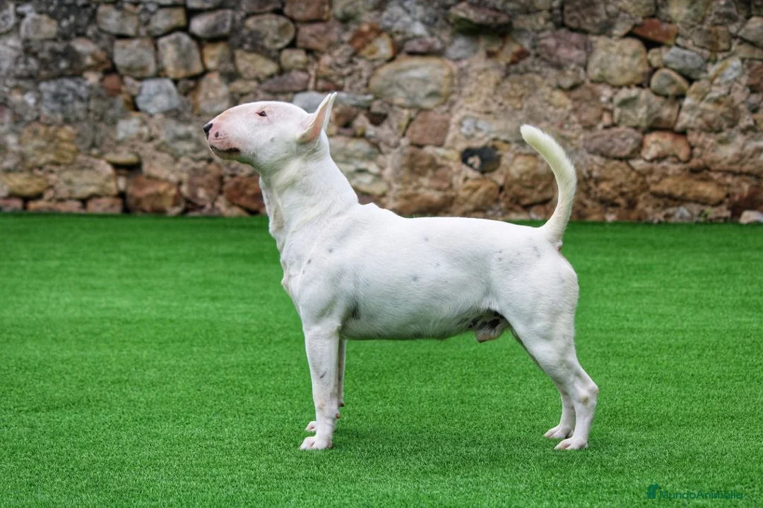 Imagen de galería {{count}}