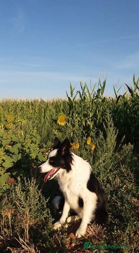 Imagen de galería {{count}}