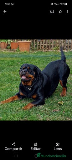 Imagen de galería {{count}}