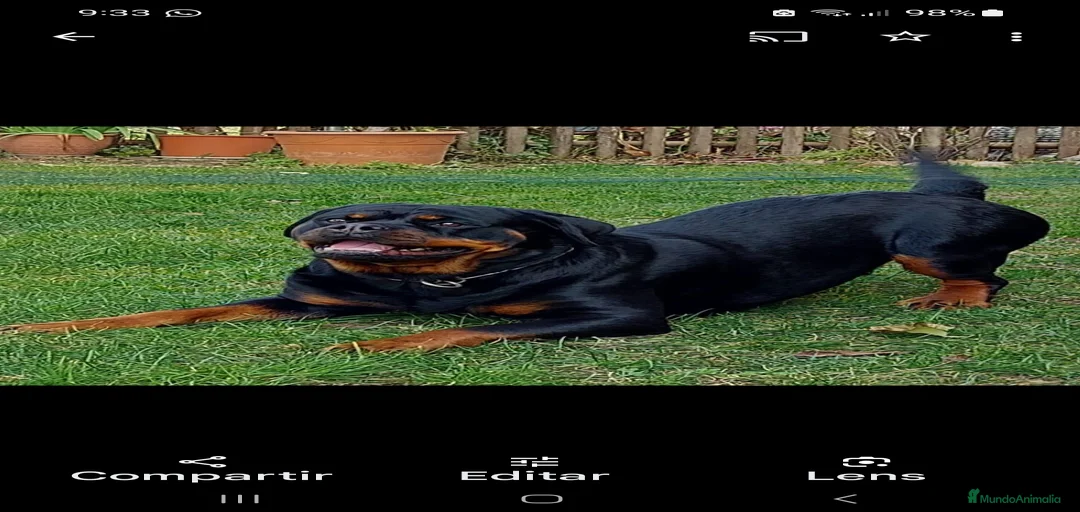 Imagen de galería {{count}}