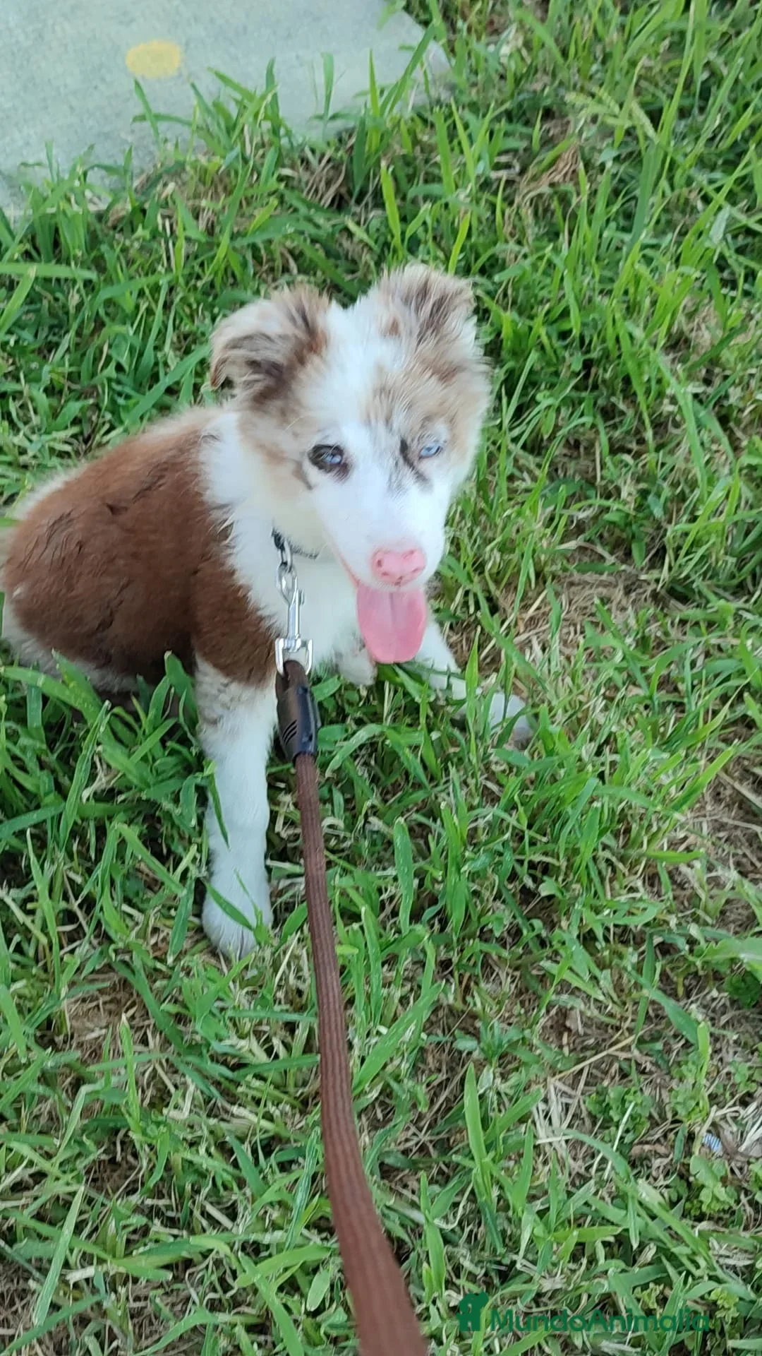 Imagen de galería {{count}}