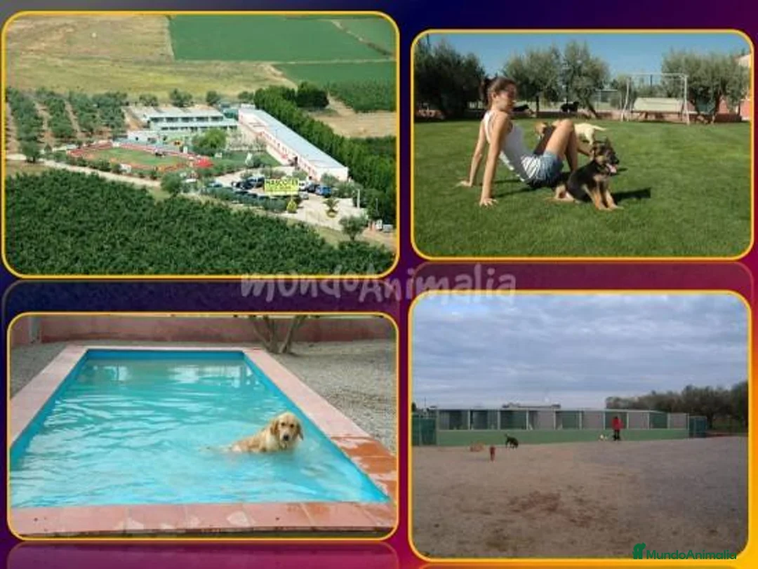 Imagen de galería {{count}}