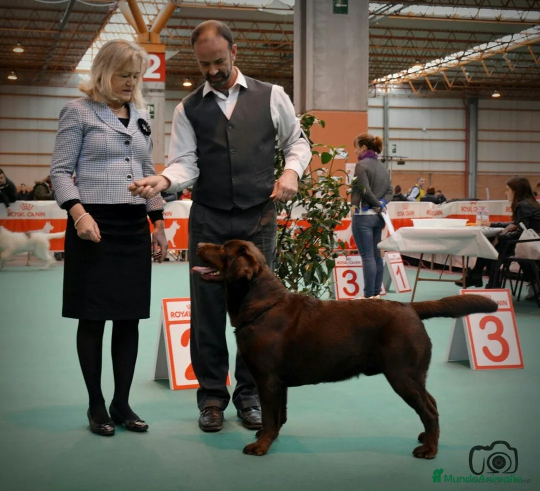 Imagen de galería {{count}}