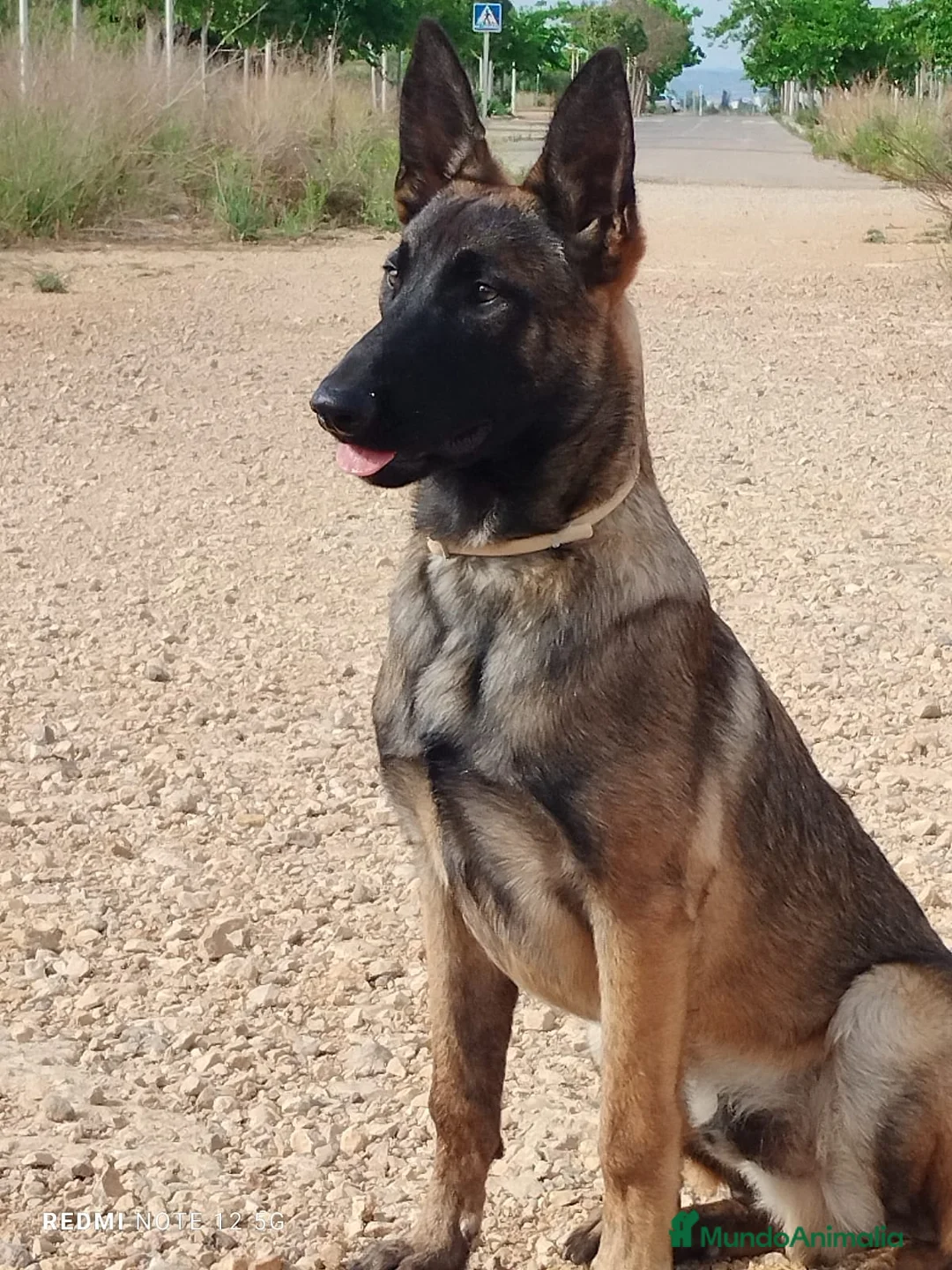 Imagen de galería {{count}}