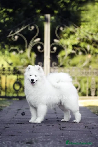 Imagen de galería {{count}}