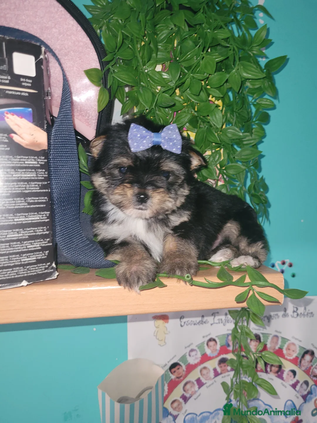 Imagen de galería {{count}}