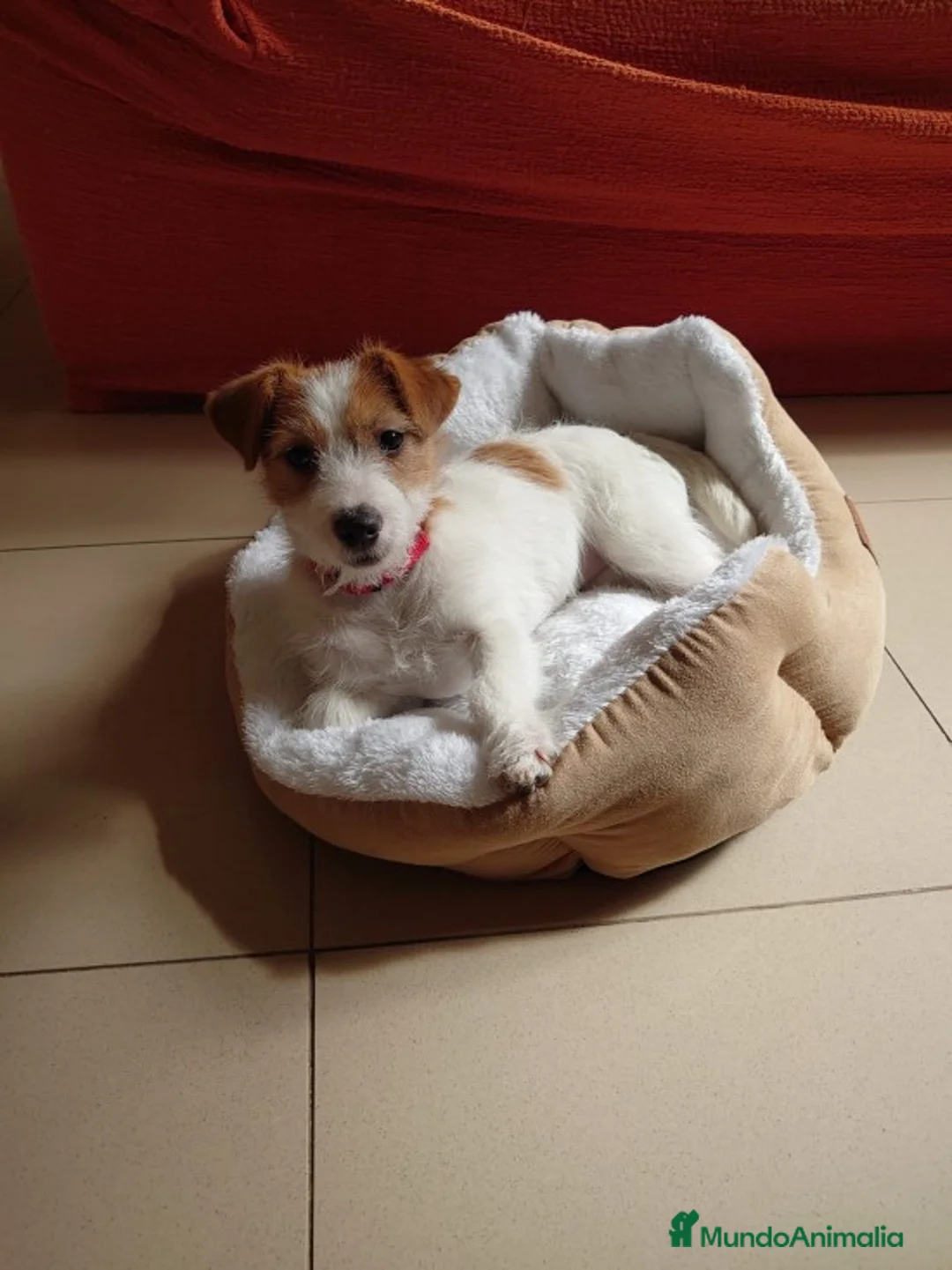 Imagen de galería {{count}}