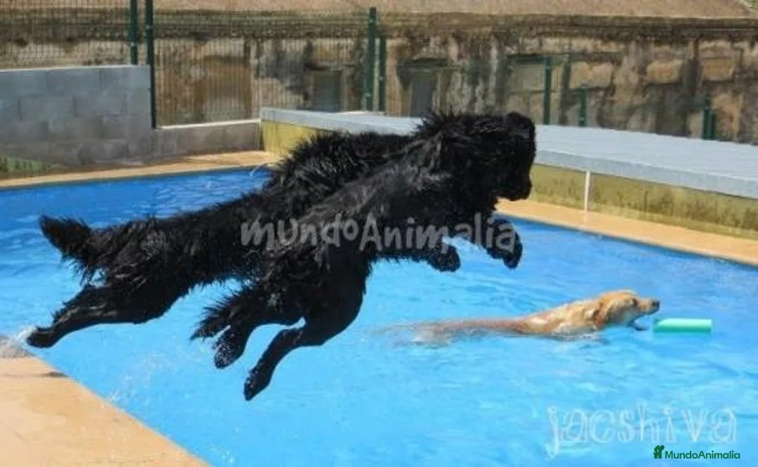 Imagen de galería {{count}}