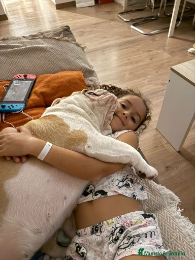 Imagen de galería {{count}}